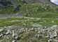 wilde-leck-ostgrat-029-bergtour-online