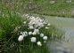 wilde-leck-ostgrat-030-bergtour-online