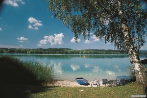 Am Tachinger See © Gerhard Hirtlreiter
