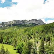 Die Benediktenwand vom Aufstiegsweg