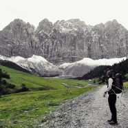 Auf dem Weg zum Steinfalk