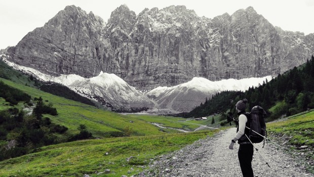 Auf dem Weg zum Steinfalk