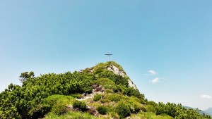 Sauruesselkopf 016 pmsxx