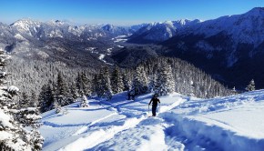 Scheinbergspitze Skitour