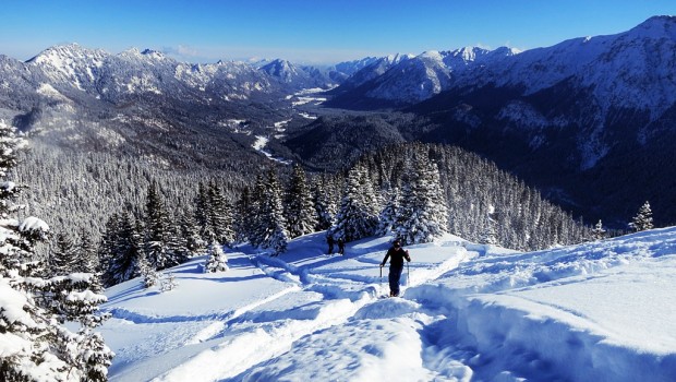 Scheinbergspitze Skitour