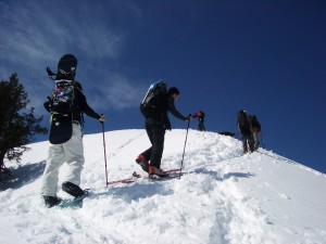 Ochsenälpeleskopf Skitour - Aufstieg