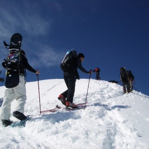 Ochsenälpeleskopf Skitour - Aufstieg