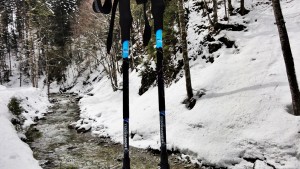 c2 carbon 04 pmsxx