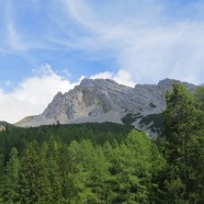 Der Hochwannig