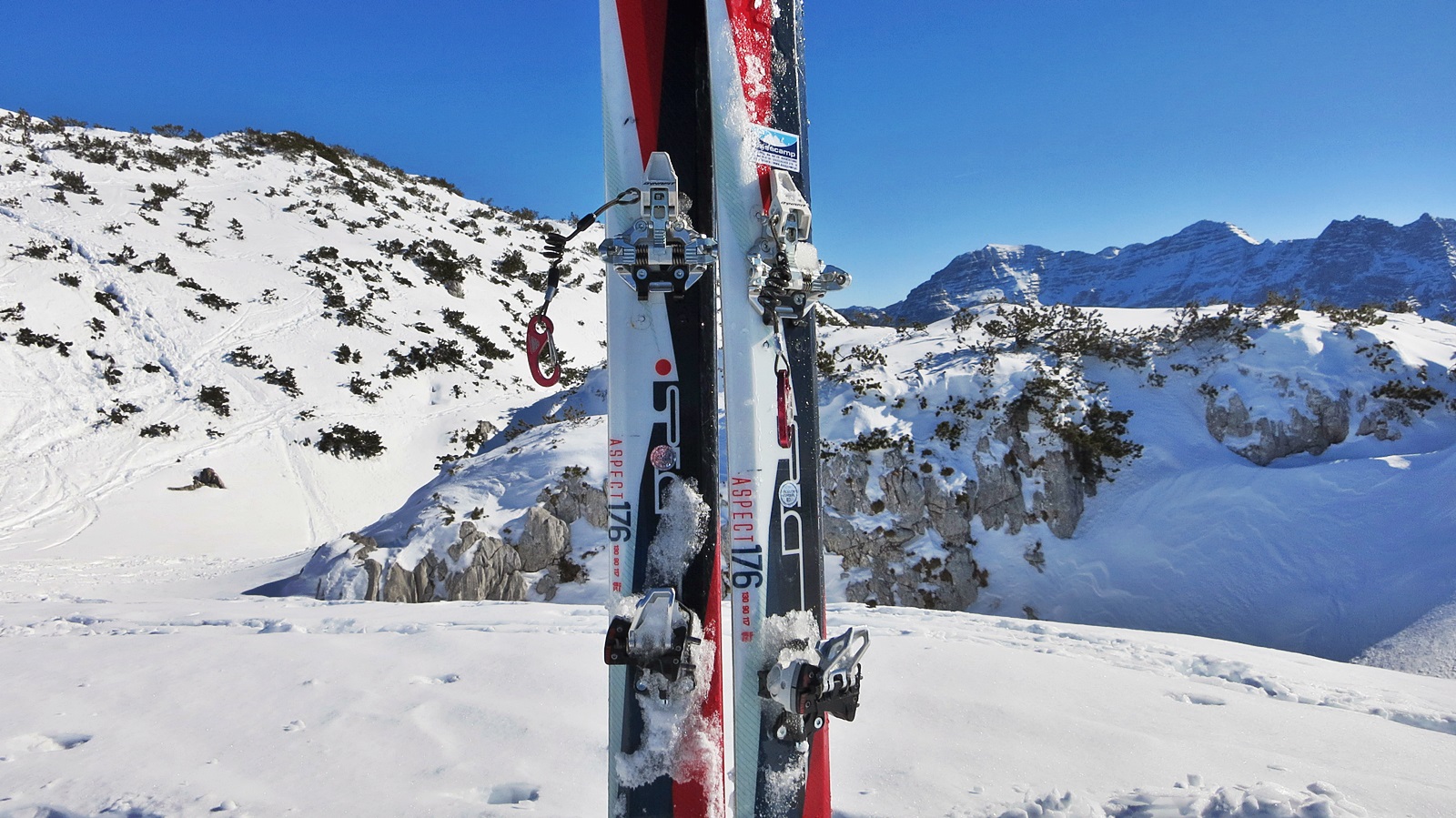 Dynafit Pin Bindung Einstellen Hotsell fastlisa.unibo.it