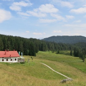 Traunsteiner Hütte Winklmoosalm (1160m)
