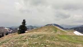 Die Gipfelebene des Lochner Horn