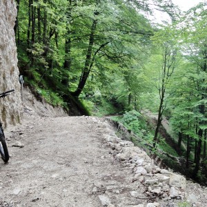 Trail während der Hochriesrunde