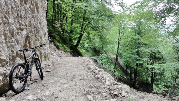 Trail während der Hochriesrunde