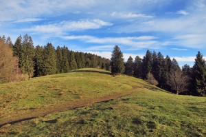 Rohnberg