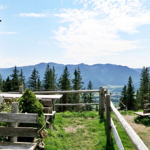 Der Gipfel des Schwarzenbergs mit vielen Bänken