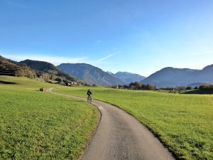 Zinnkopf 48 Mountainbike