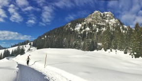 Brünnstein & Rodelstrecke