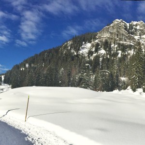 Brünnstein & Rodelstrecke