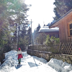 Die Kirchsteinhütte