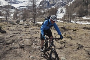 Auf der Göflaner Alm