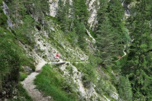 Auf dem Weg zur Bärenfalle