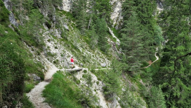 Auf dem Weg zur Bärenfalle