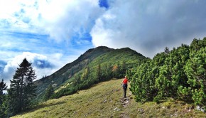 Kurz vor dem Veitsberg-Gipfel