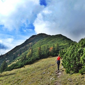 Kurz vor dem Veitsberg-Gipfel