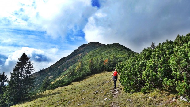 Kurz vor dem Veitsberg-Gipfel