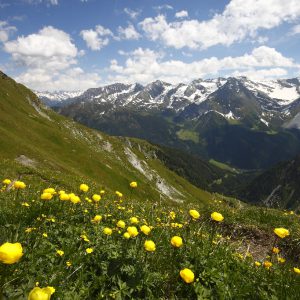 Grüblspitze (mittel, 464hm, 4:30h)