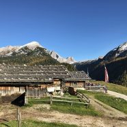 Die Kallbrunnalm - Dahinter Seehorn & Hundstod