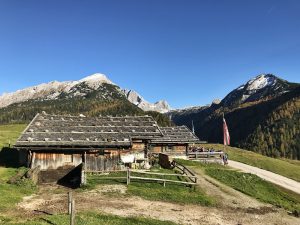 Die Kallbrunnalm - Dahinter Seehorn & Hundstod