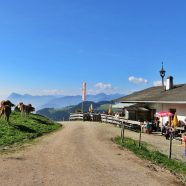 Die Wildbichler Alm - hinten links der Pendling