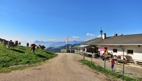 Die Wildbichler Alm - hinten links der Pendling