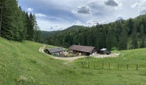 Die wunderbare Bichleralm