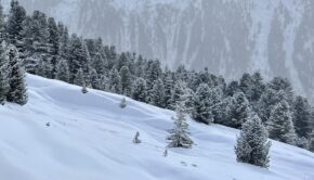 Leichtes Skigelände am Faltegartenköpfl