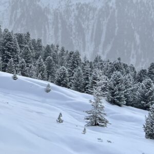 Leichtes Skigelände am Faltegartenköpfl