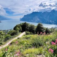 Monte Brione Gardaseeberge
