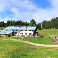Das Höhlensteinhaus