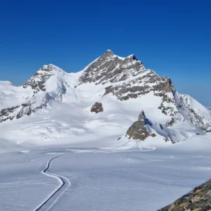 Jungfrau Skitour