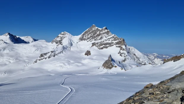 Jungfrau Skitour