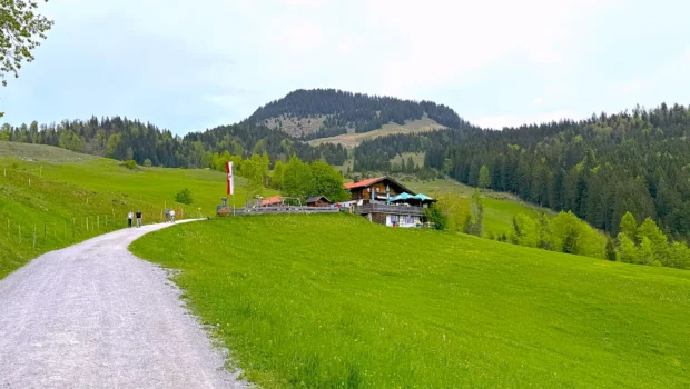Die Stoana Alm - dahinter Spitzstein