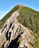 Die Brecherspitze von Nahe Ankelalm