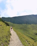 Auf dem Weg zum Jägerkamp (rechts)
