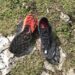 Der Salomon S-Lab Sense Ultra
