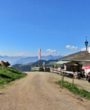 Die Wildbichler Alm - hinten links der Pendling