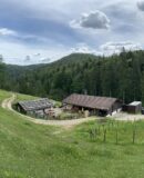 Die wunderbare Bichleralm