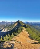 Die Halserspitze beim Aufstieg am Grat