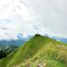 Der Hochgern